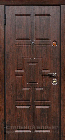 Дверь с фотопечатью №20